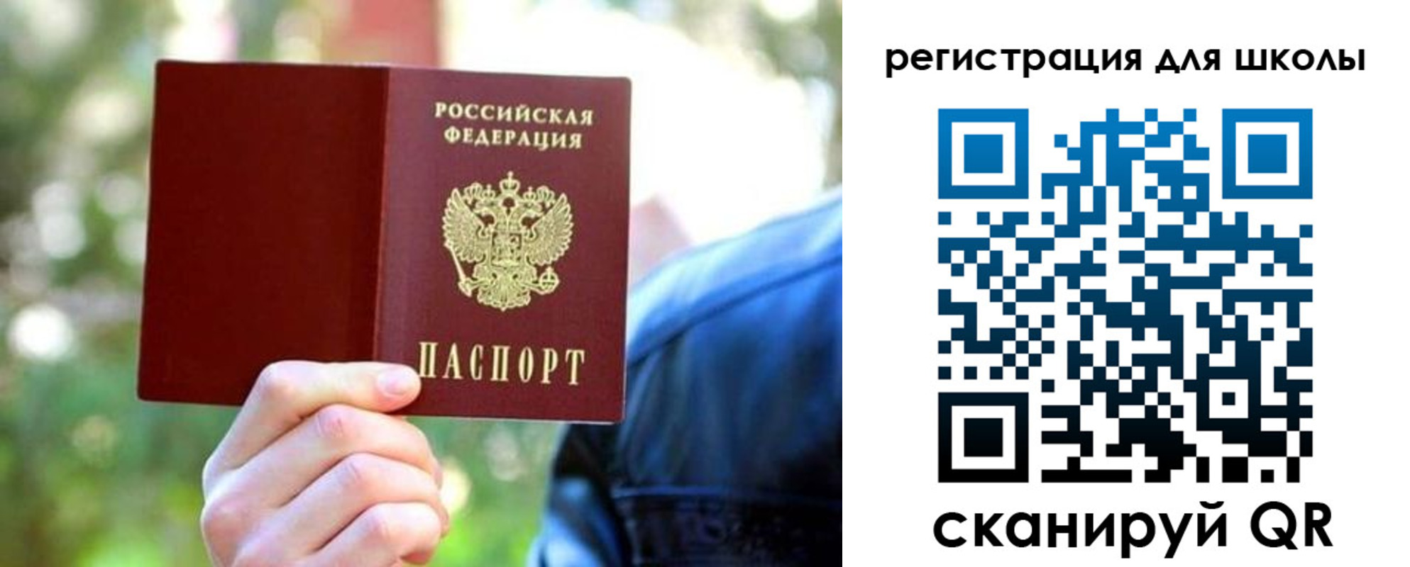 прописка законно в Коле